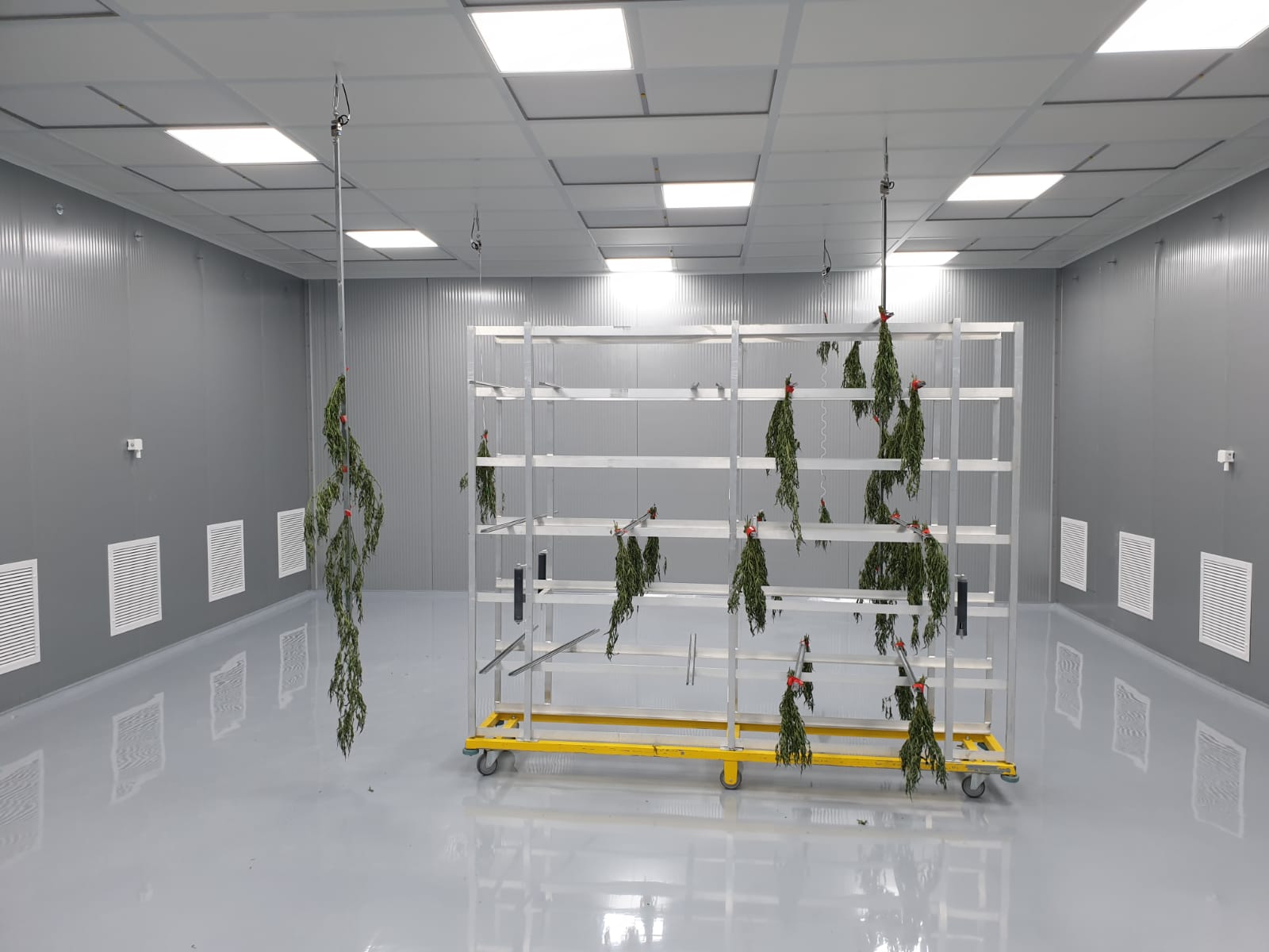Cannabis dry rooms - Biopharmax Group Ltd