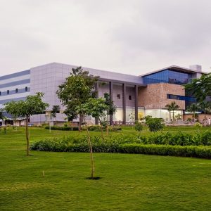 scs2.jpg